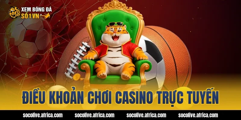 Điều khoản chơi casino trực tuyến