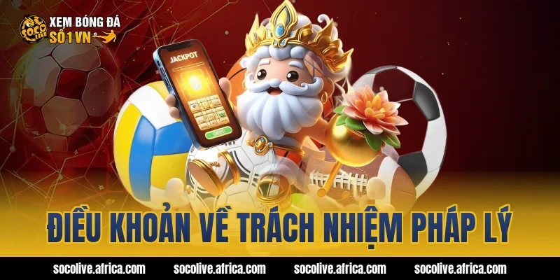 Điều khoản về trách nhiệm pháp lý