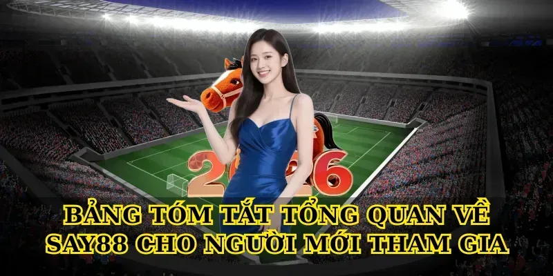 Bảng tóm tắt Tổng quan về say88 cho người mới tham gia